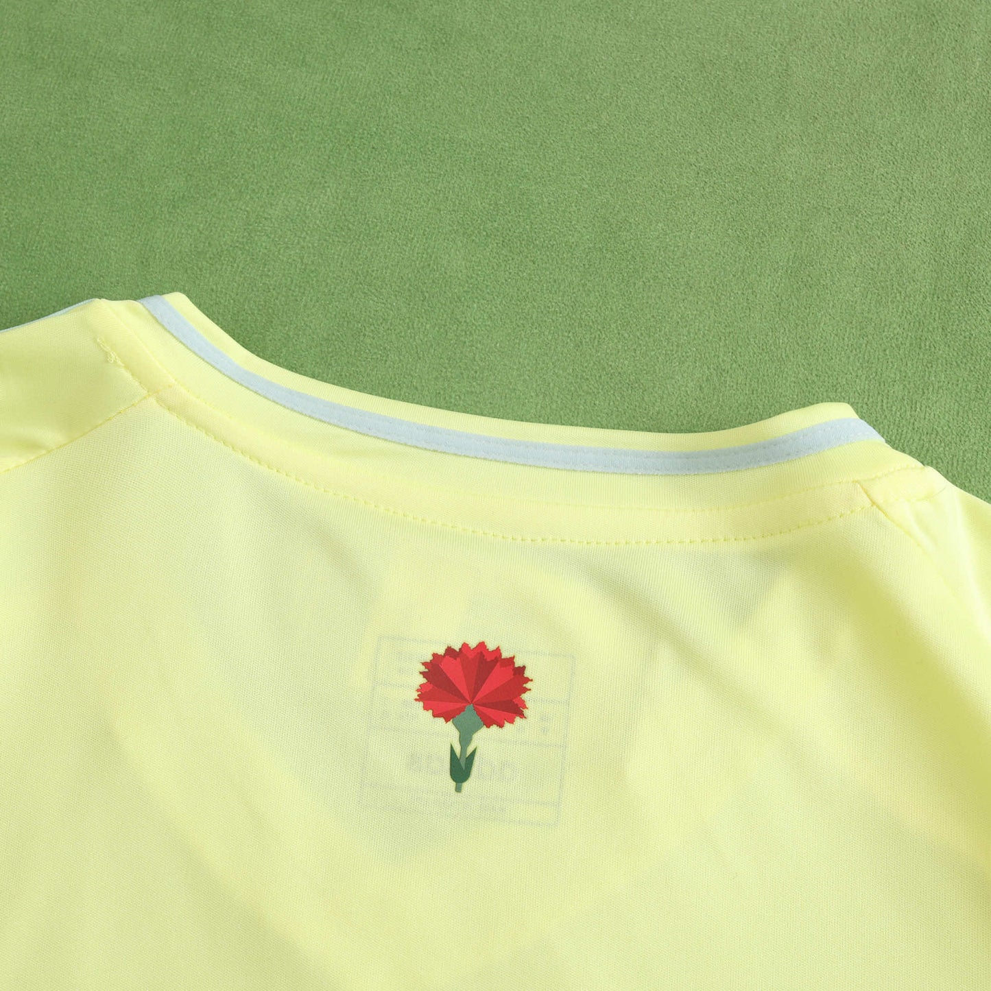 SPAIN AWAY 2024, FAN VERSION