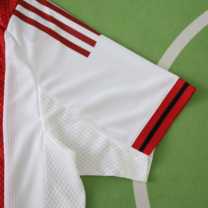 AJAX HOME 25/26, PLAYER VERSION