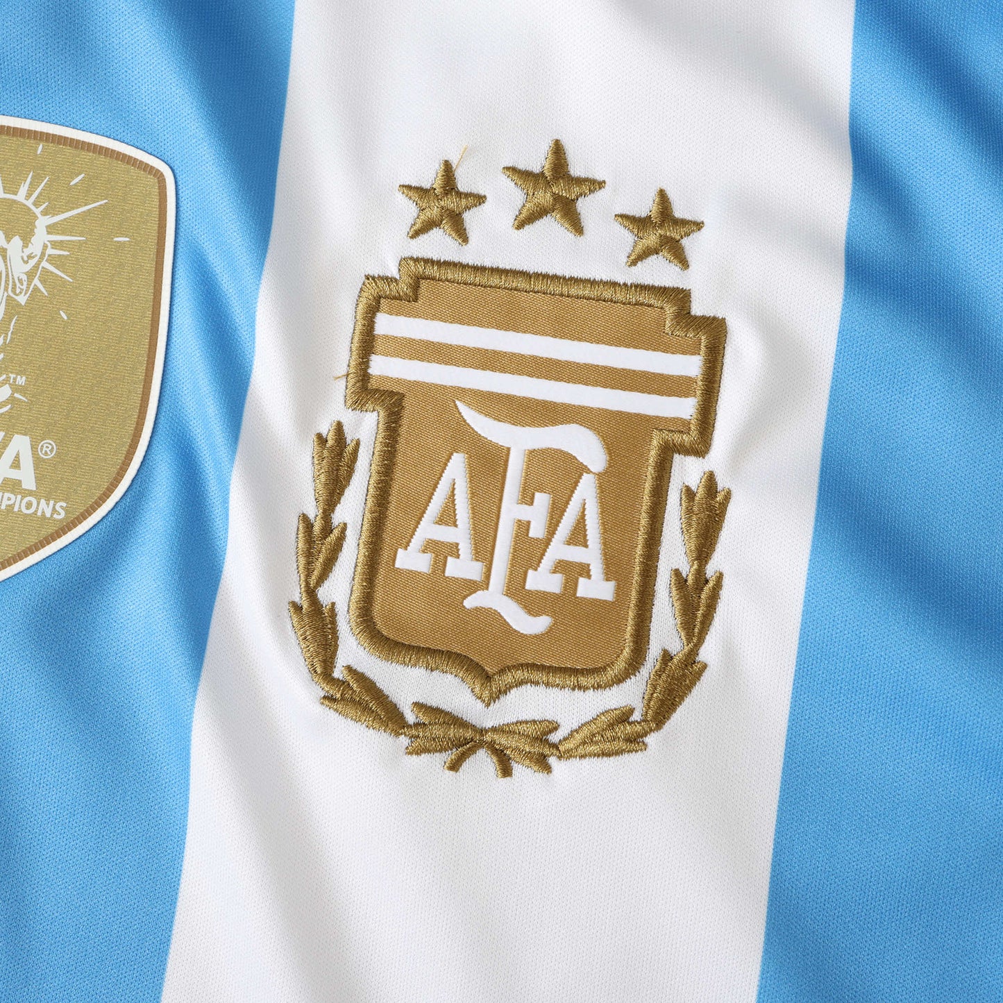 ARGENTINA HOME 2024, FAN VERSION