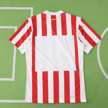 ATLETICO MADRID HOME, PLAYER VERSION
