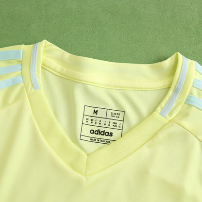 SPAIN AWAY 2024, FAN VERSION