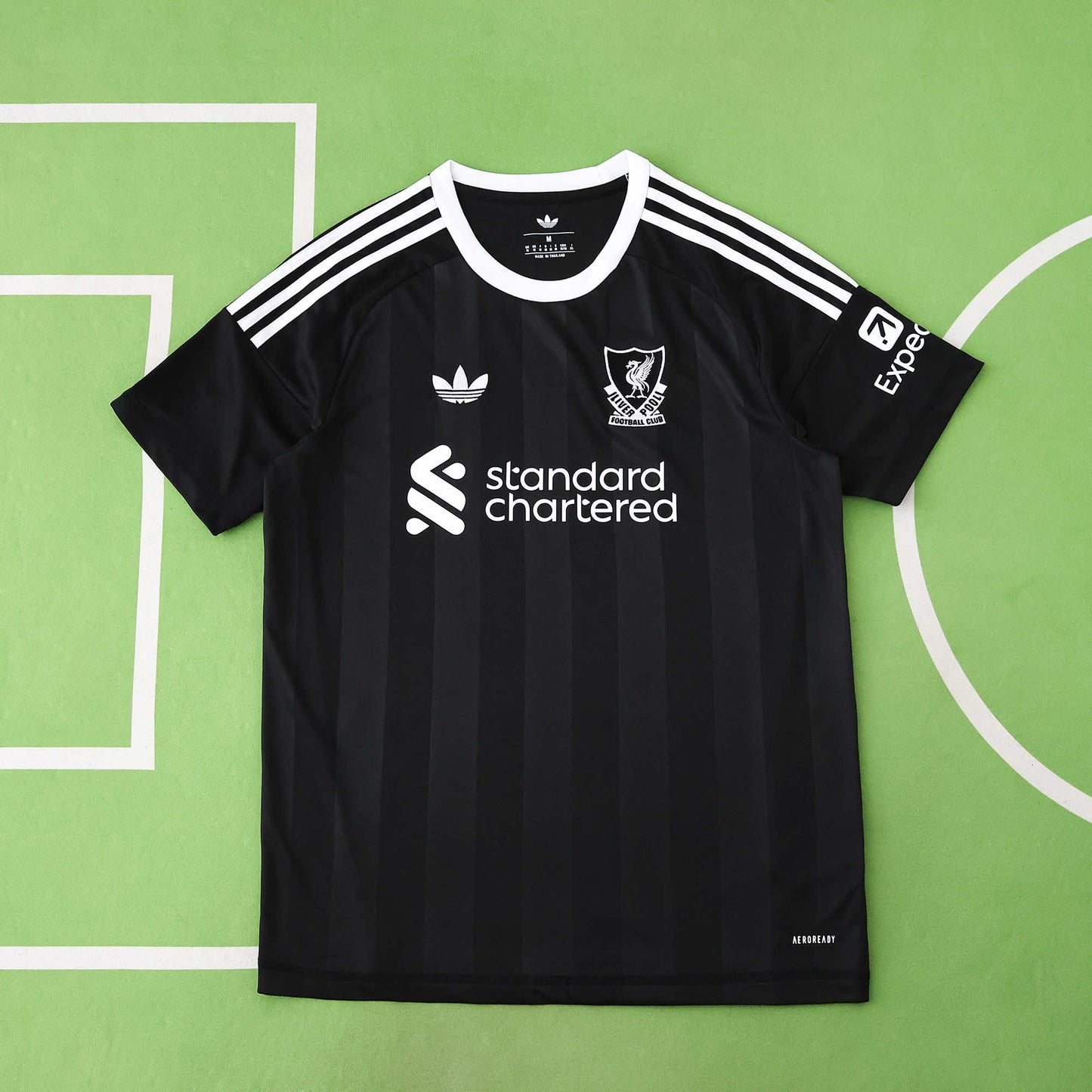 LIVERPOOL GOALKEEPER KIT 25/26, FAN VERSION