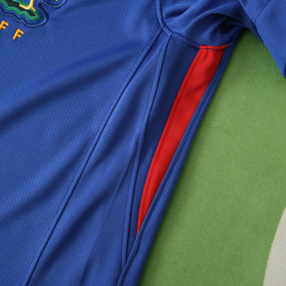FRANCE HOME 2024, FAN VERSION