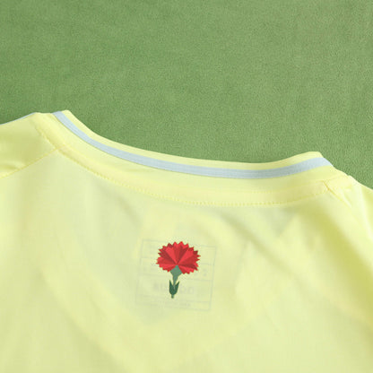 SPAIN AWAY 2024, FAN VERSION