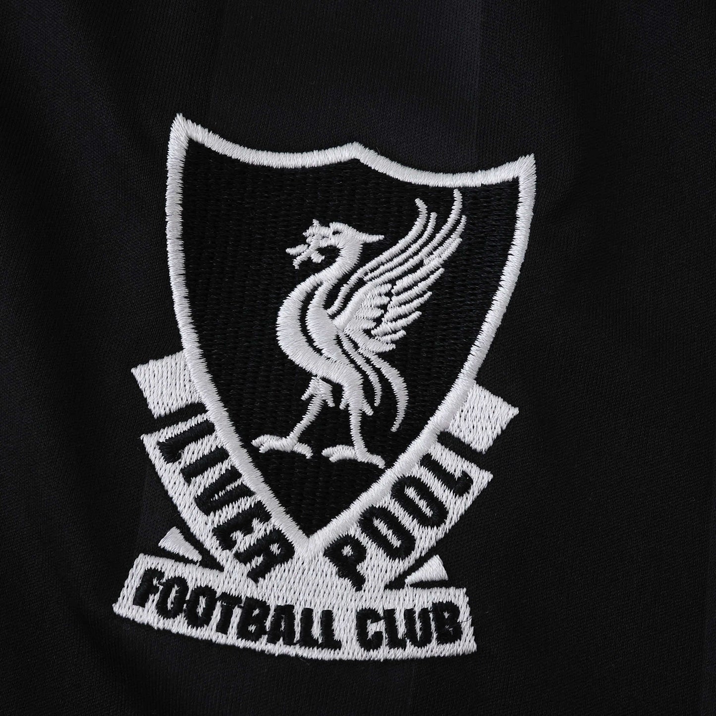 LIVERPOOL GOALKEEPER KIT 25/26, FAN VERSION
