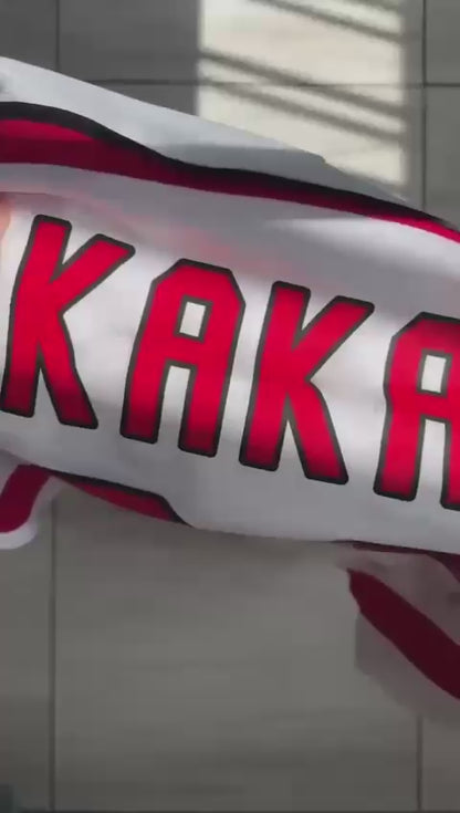 RETRO AC MILAN AWAY 2006/07 ( KAKA 22 )